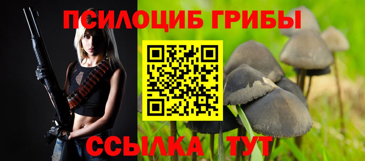 Псилоцибиновые грибы прущие грибы  Вход с VPN  Энгельс 